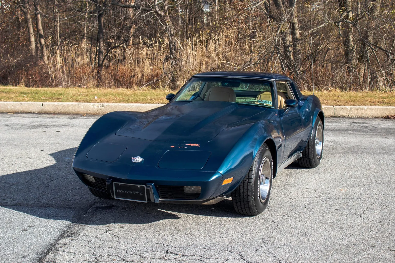 1978 Chevrolet Corvette - Photo 1